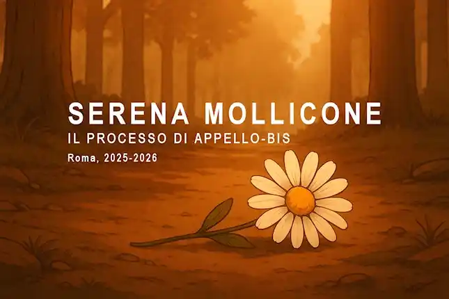 ⚖️ Appello-bis Mollicone: udienza 2 a Roma (19 novembre 2025)